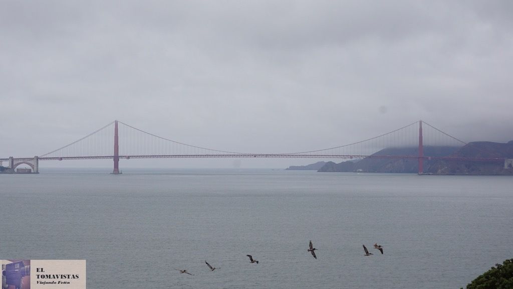 1AA.Alcatraz25