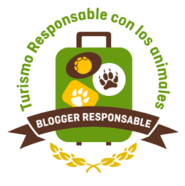 Viajero Responsable
