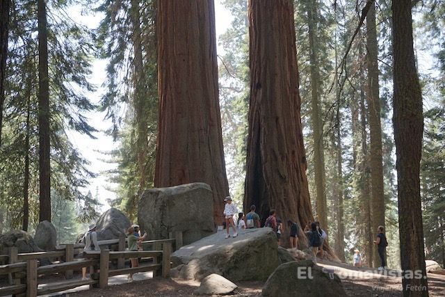 Sequoia National Park