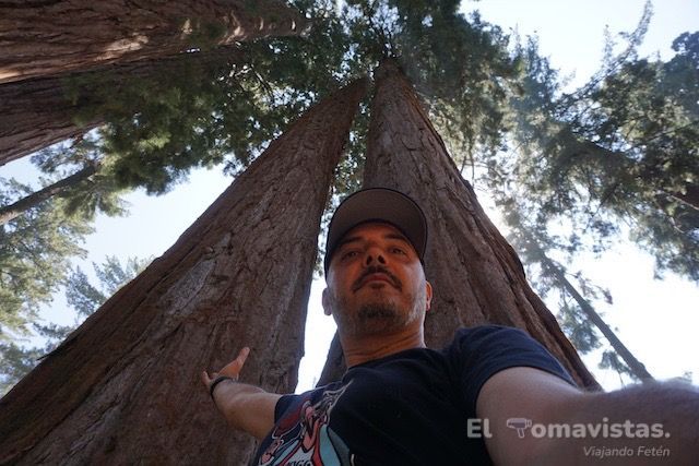 Sequoia National Park