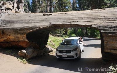 Qué ver en Sequoia National Park. Una tierra de gigantes