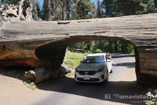 Sequoia National Park