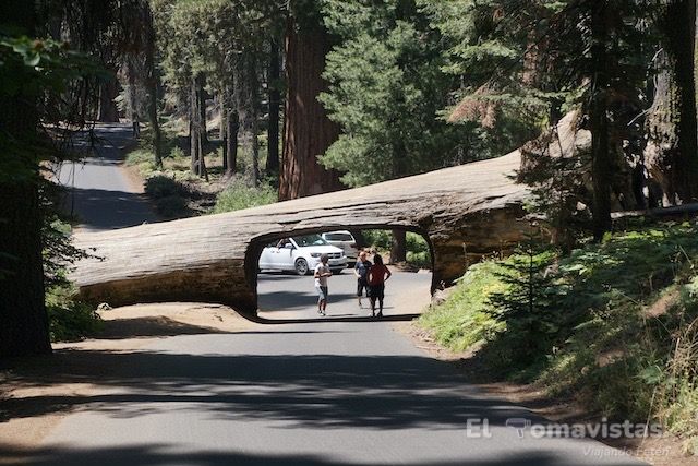 Sequoia National Park