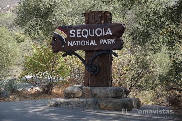 Cartel de Sequoia National Park