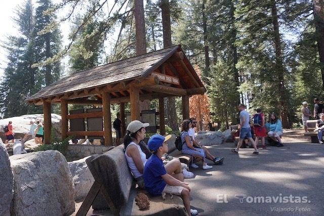 Sequoia National Park