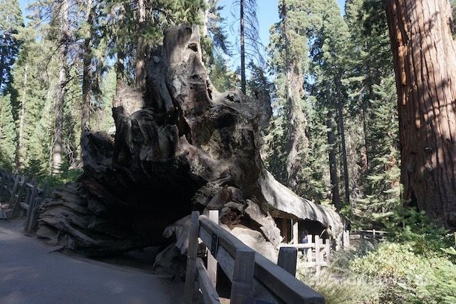 Sequoia National Park
