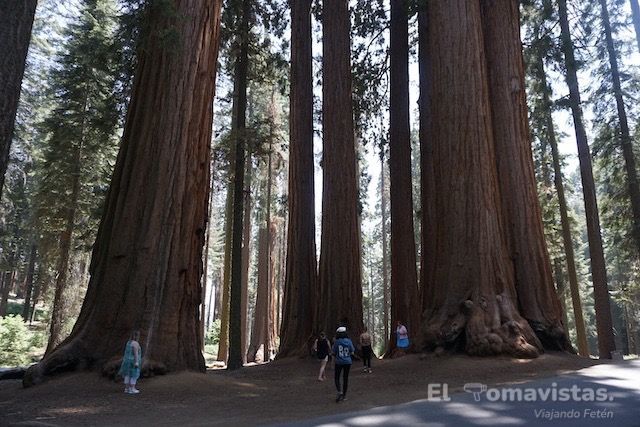Sequoia National Park