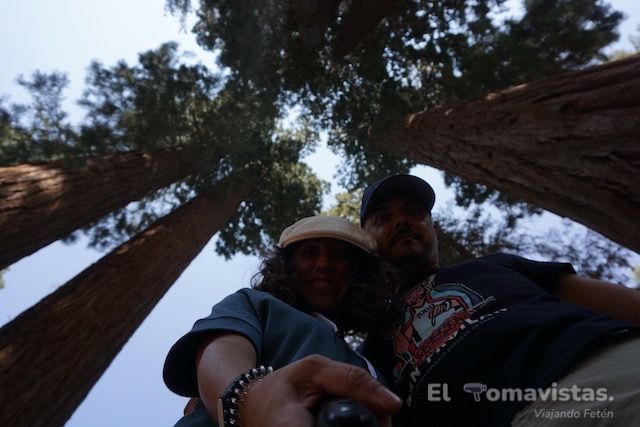 Sequoia National Park