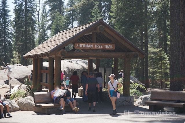 Sequoia National Park