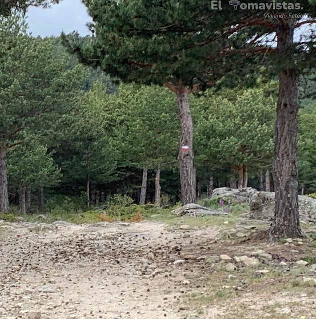 Ruta del Puerto de Canencia (Madrid)