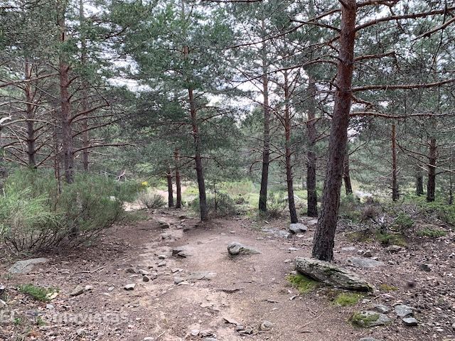 Ruta del Puerto de Canencia (Madrid)