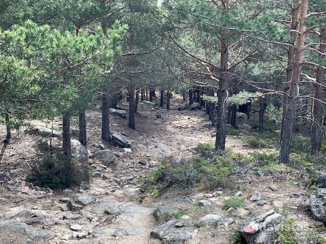 Ruta del Puerto de Canencia (Madrid)