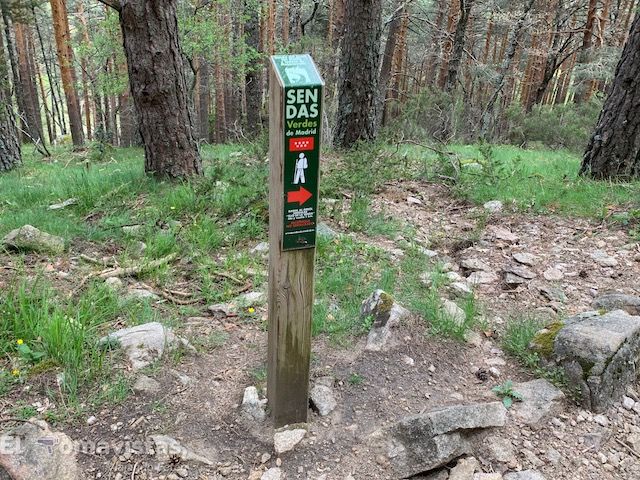 Ruta del Puerto de Canencia (Madrid)