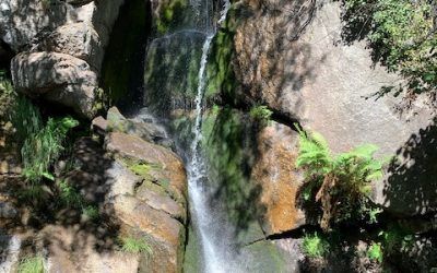 Ruta de las Cascadas y Garganta de las Nogaledas