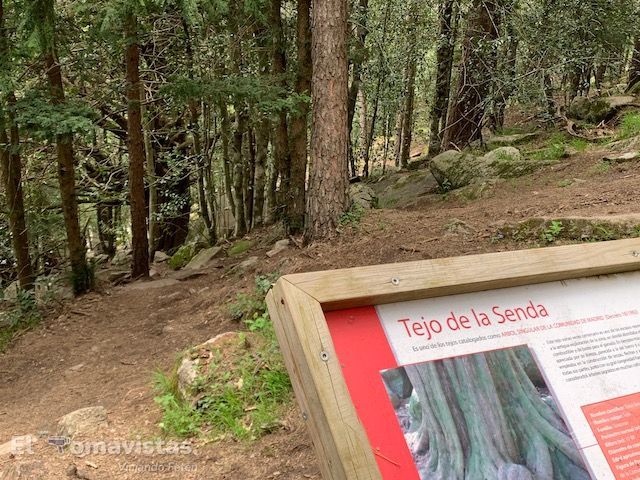 Ruta del Puerto de Canencia (Madrid)