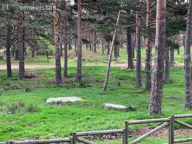 Ruta del Puerto de Canencia (Madrid)