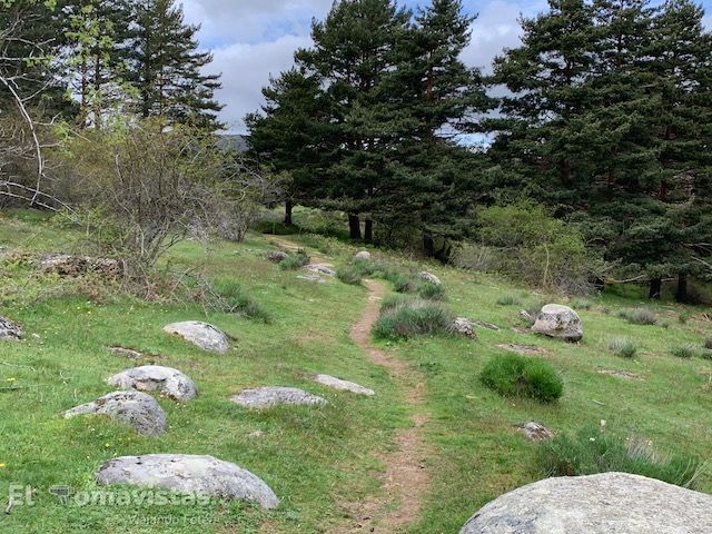 Ruta del Puerto de Canencia (Madrid)