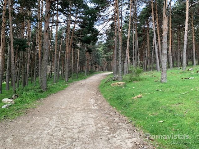 Ruta del Puerto de Canencia (Madrid)