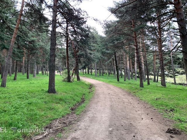Ruta del Puerto de Canencia (Madrid)