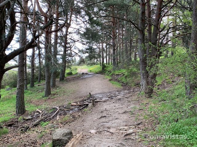Ruta del Puerto de Canencia (Madrid)