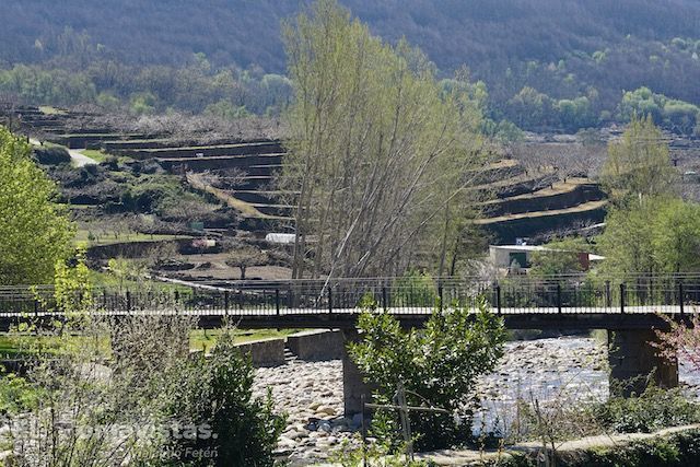 Localidad de Jerte (Extremadura)