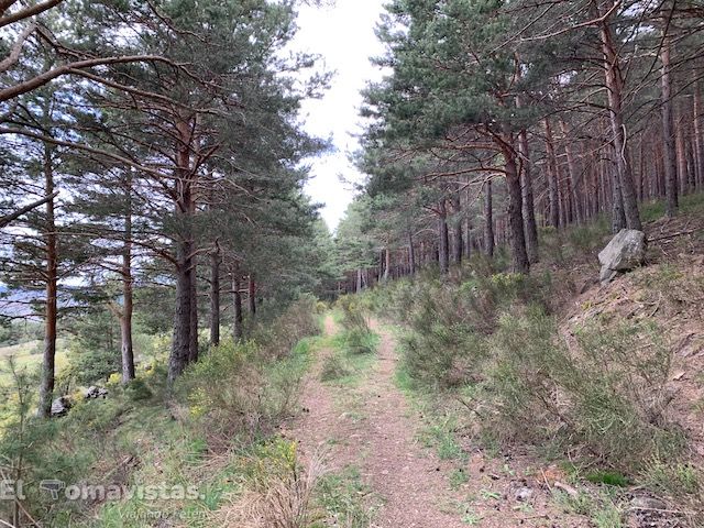 Ruta del Puerto de Canencia (Madrid)