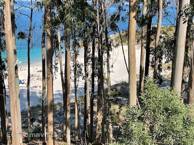 Playa de Figueiras, Islas Cíes