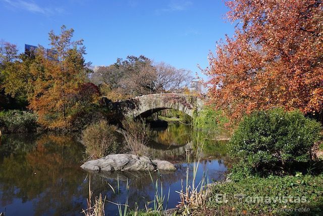 Central Park