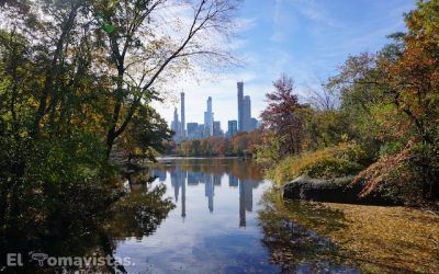 Los 20 imprescindibles de Central Park en 1 día