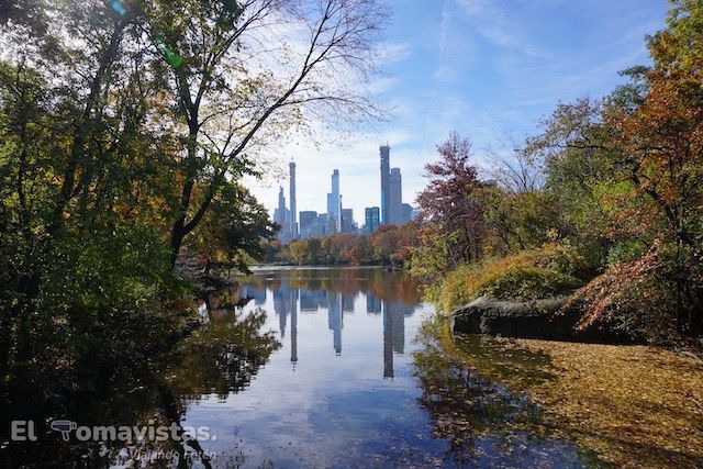 Los 20 imprescindibles de Central Park en 1 día