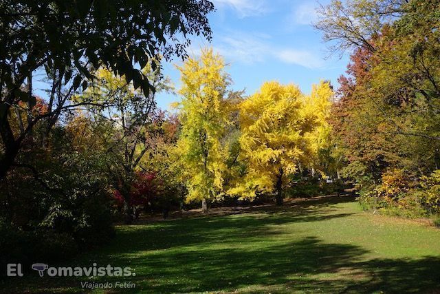 Central Park