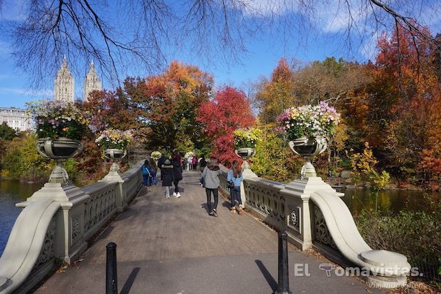 Central Park