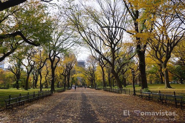 Central Park