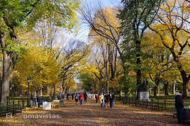 Central Park