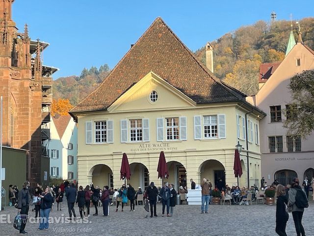 Casa de los Vinos, Friburgo