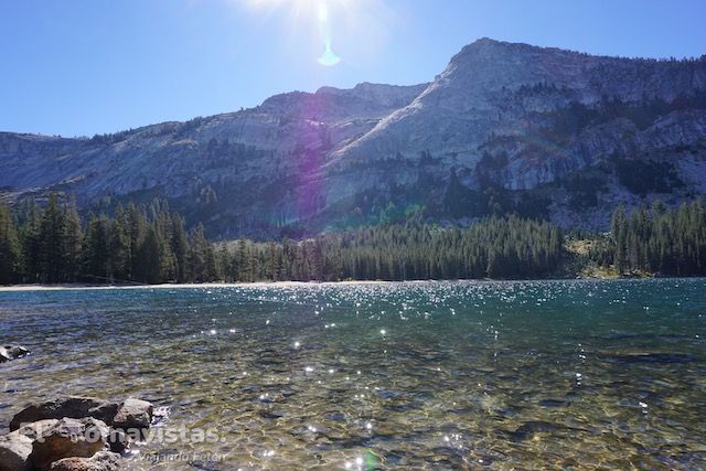 Tenaya Lake