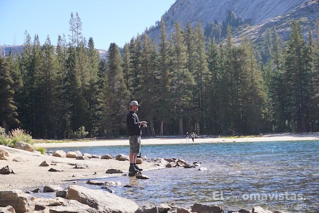 Parque Nacional de Yosemite