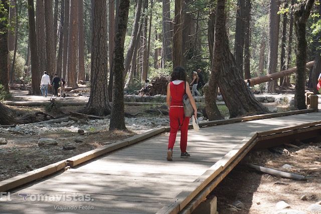Parque Nacional de Yosemite
