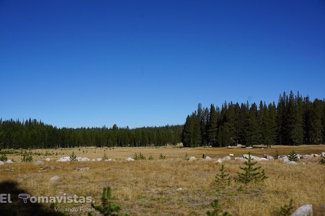 Tuolumne Meadows