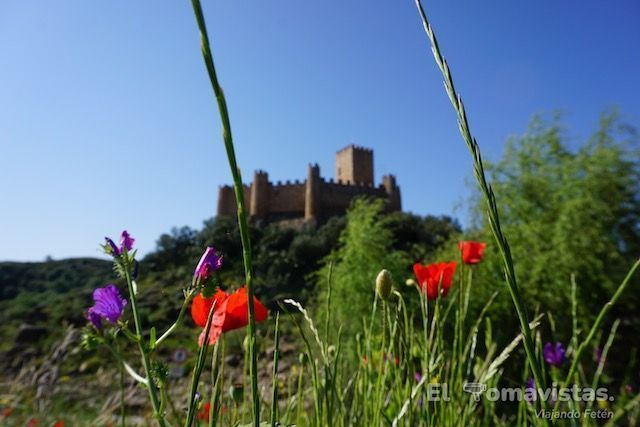 Castillo de Almourol