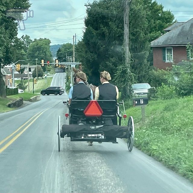 Amish en carruaje por el Condado de Lancaster
