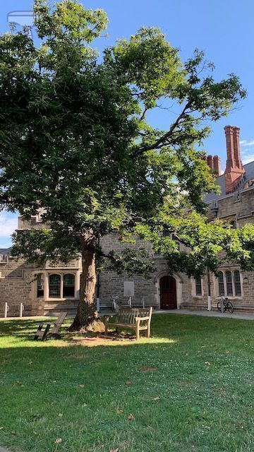 Universidad de Princeton