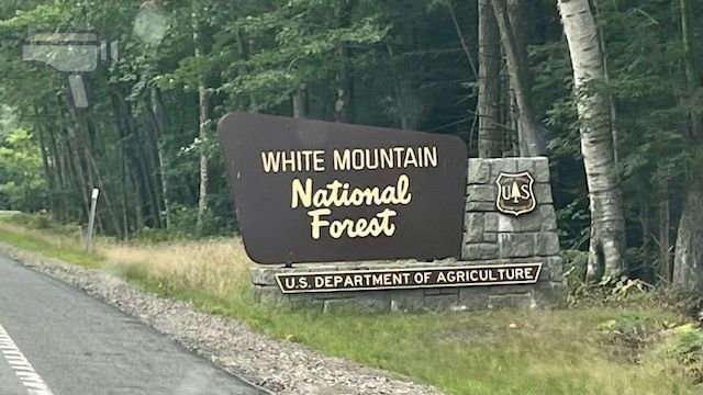 White Mountain National Forest