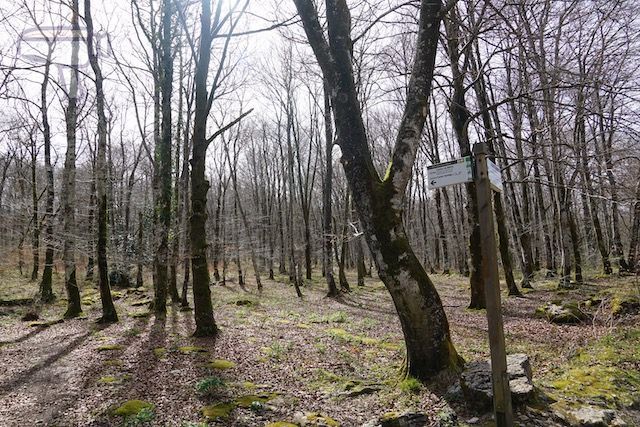 Monte Santiago, Burgos