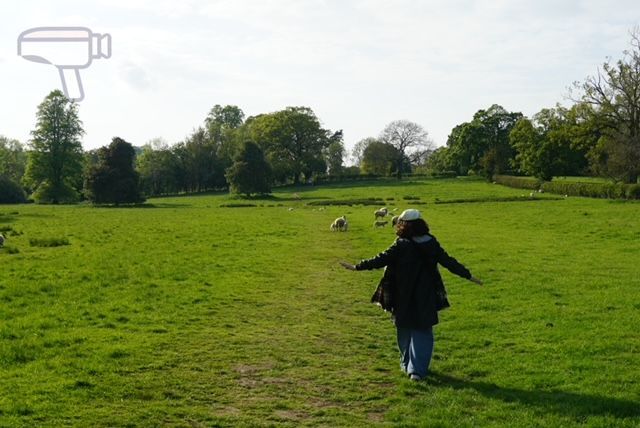 Los Cotswolds