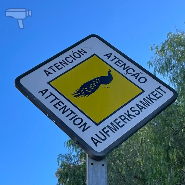 Parque Castelar, Badajoz