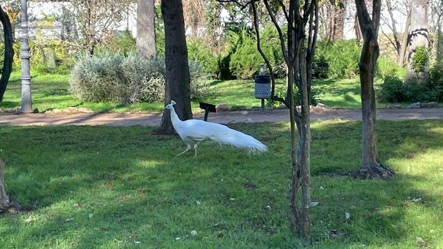 Parque Castelar, Badajoz