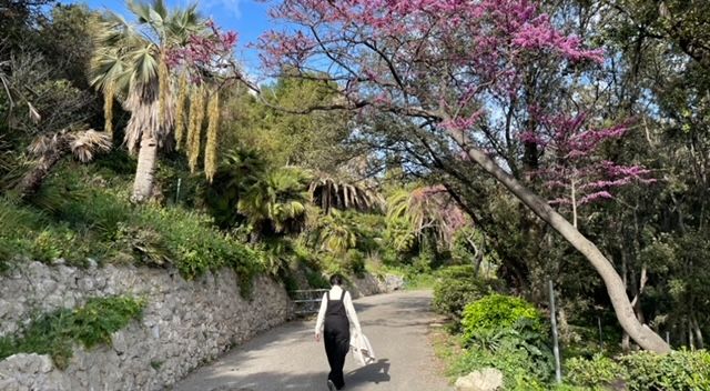 Parque Valmer, Marsella