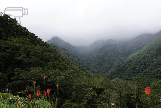 Valle del Cocora