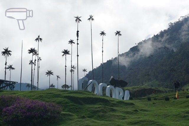 Valle del Cocora